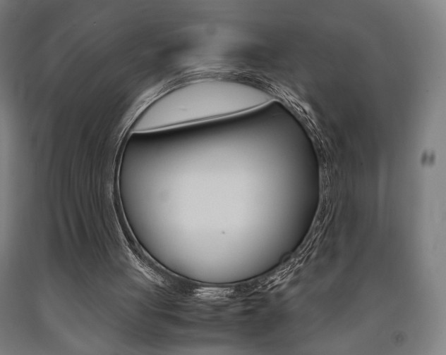 X0000093240051200709261539