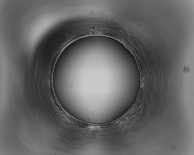 X0000093240052200709261539