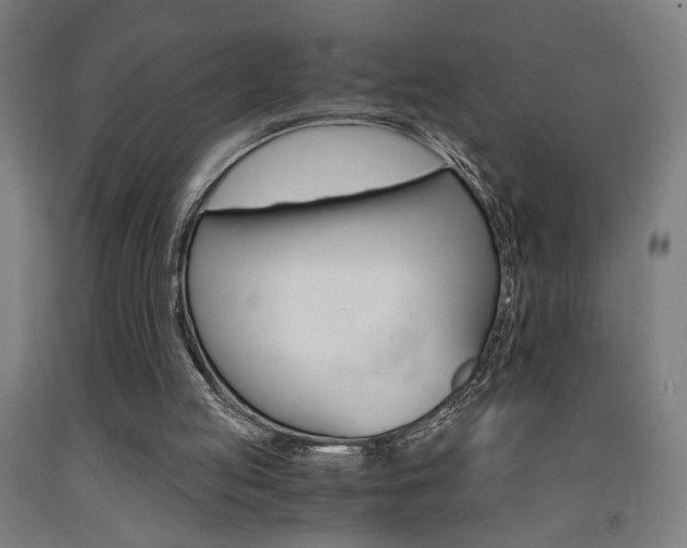 X0000093240053200709261539