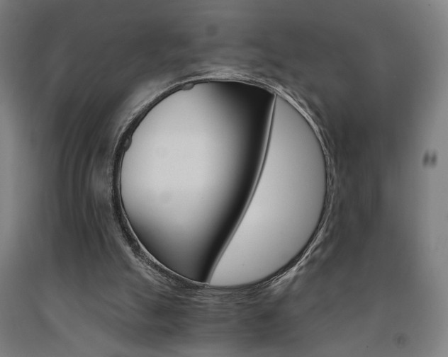 X0000093240055200709261539