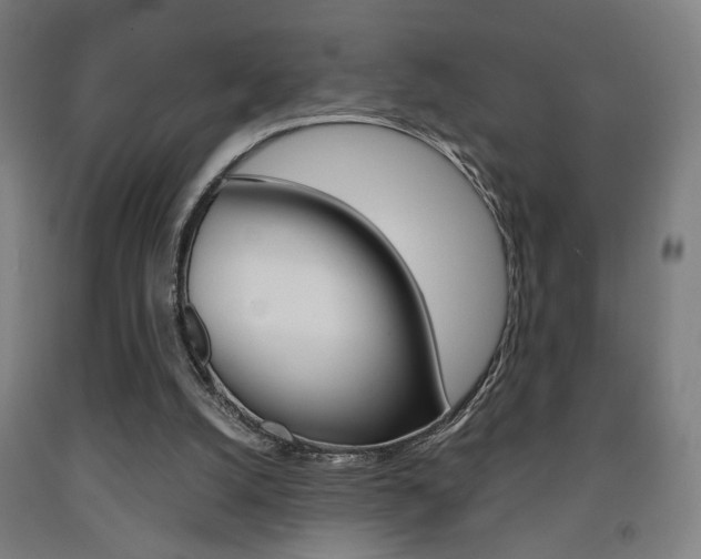 X0000093240056200709261539