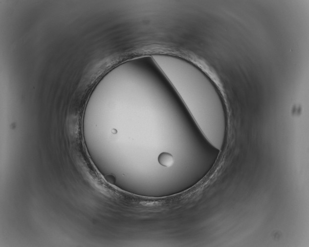 X0000093240057200709261539