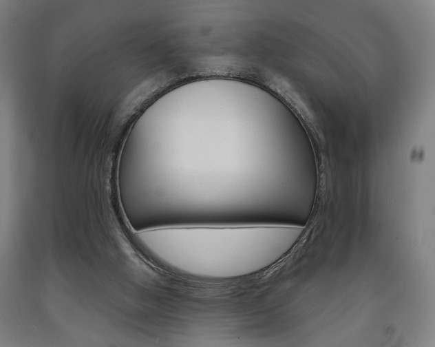 X0000093240058200709261539