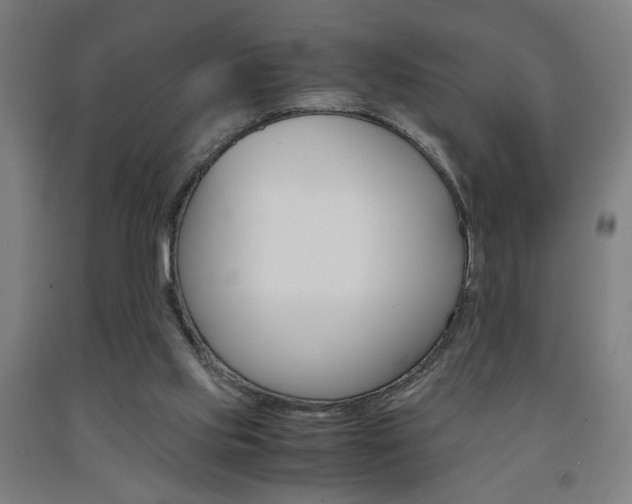 X0000093240061200709261539