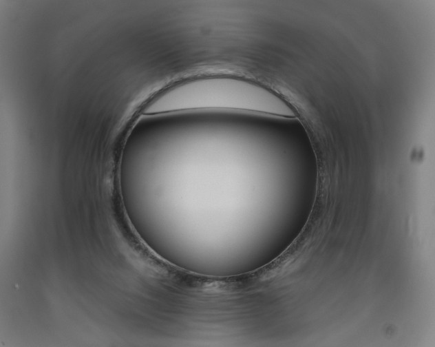 X0000093240064200709261539
