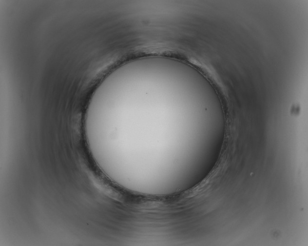 X0000093240066200709261539
