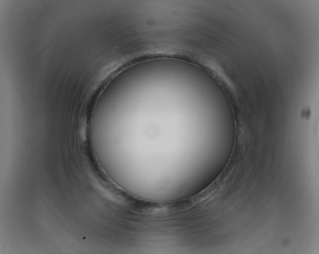 X0000093240068200709261539