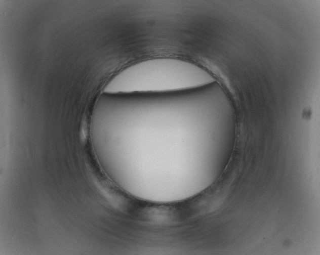 X0000093240069200709261539