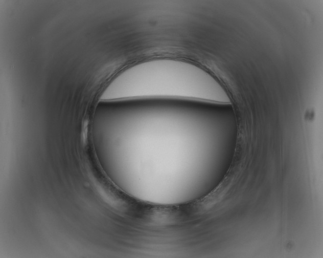 X0000093240070200709261539