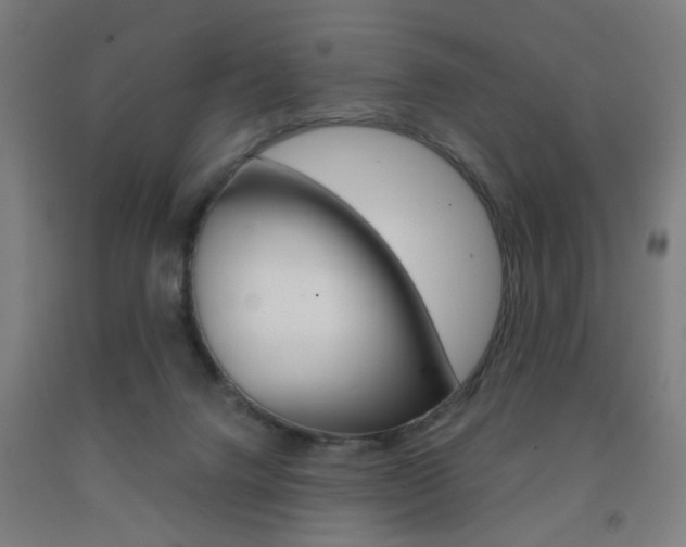 X0000093240072200709261539