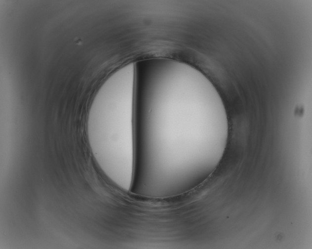 X0000093240073200709261539