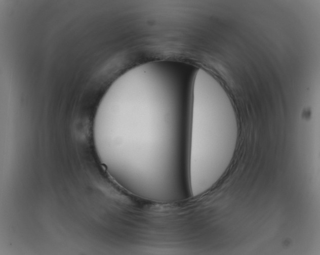 X0000093240077200709261539