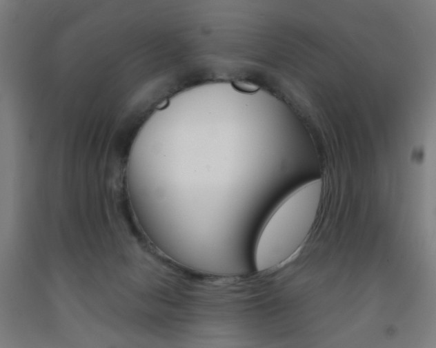 X0000093240078200709261539