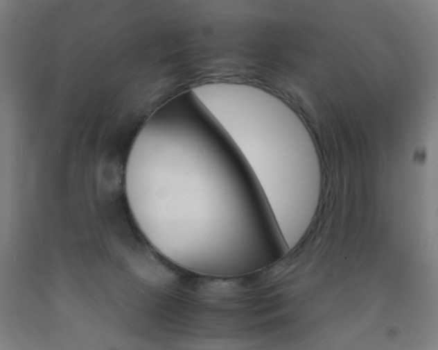 X0000093240081200709261539