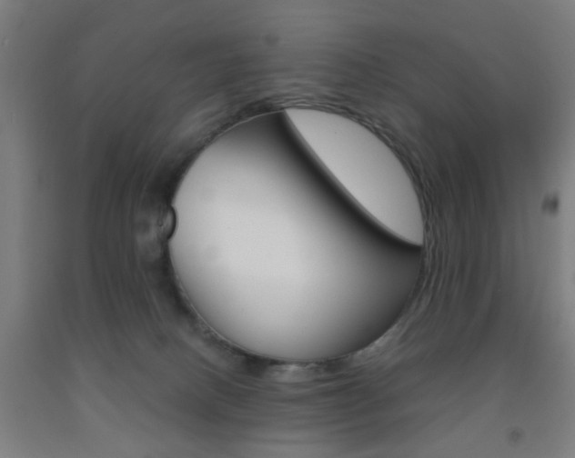 X0000093240082200709261539