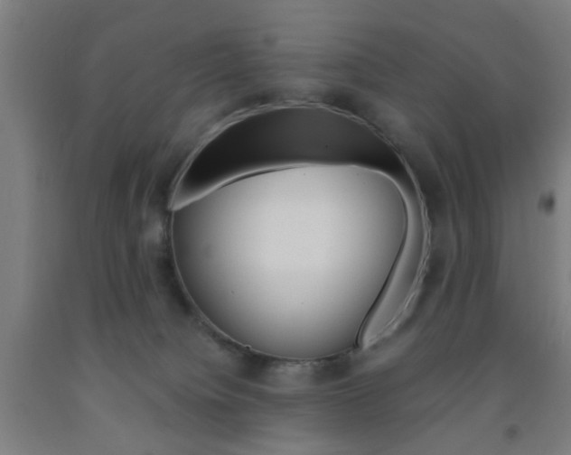 X0000093240084200709261539