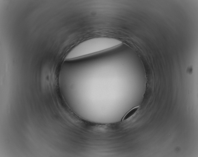 X0000093240086200709261539
