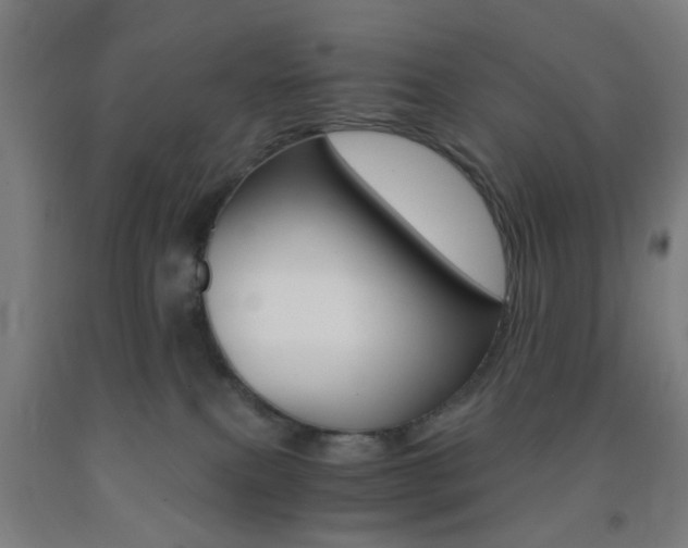 X0000093240087200709261539