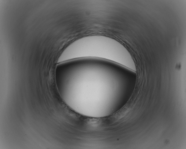 X0000093240088200709261539