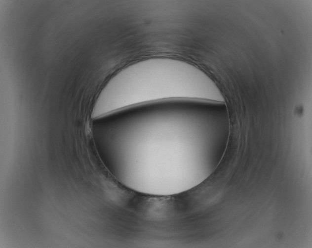X0000093240089200709261539