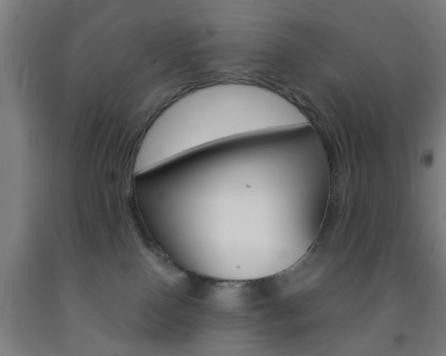 X0000093240090200709261539