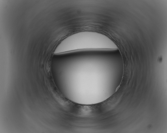 X0000093240091200709261539