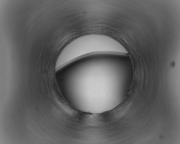 X0000093240092200709261539