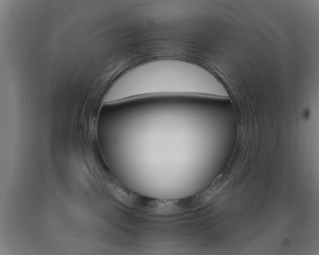 X0000093240093200709261539