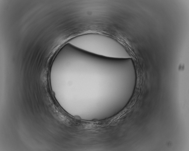 X0000093240098200709261539