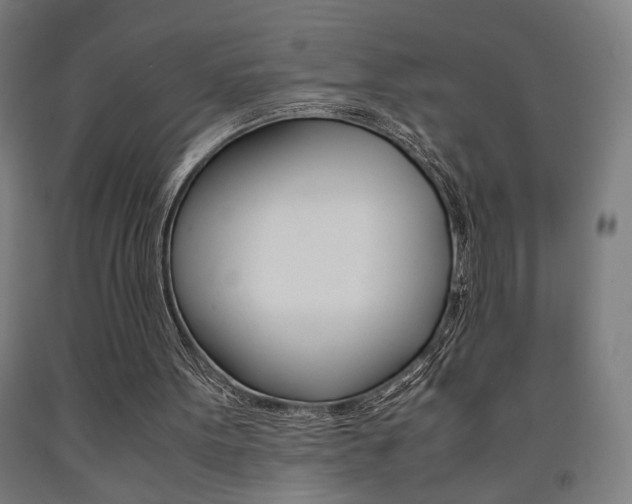 X0000093240099200709261539