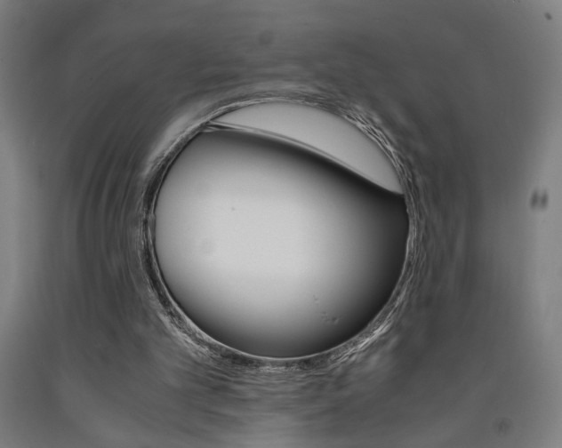 X0000093240101200709261539