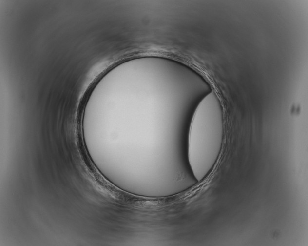 X0000093240102200709261539
