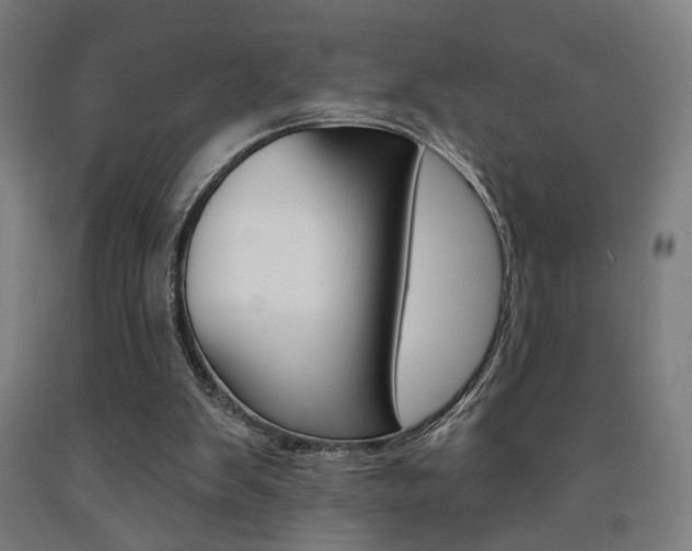 X0000093240103200709261539