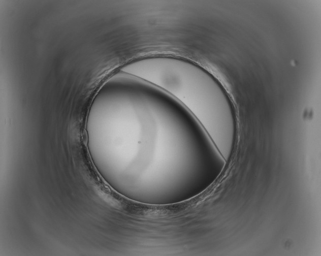 X0000093240105200709261539