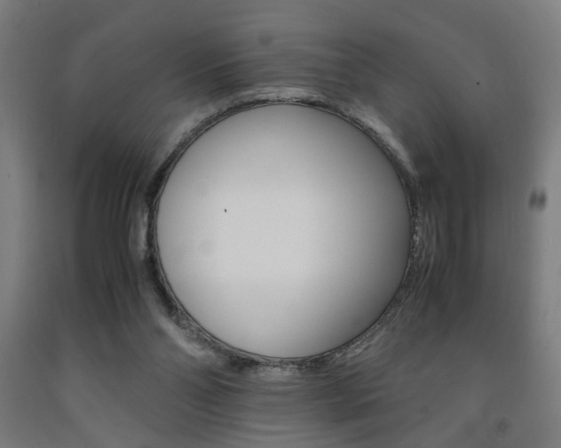 X0000093240110200709261538