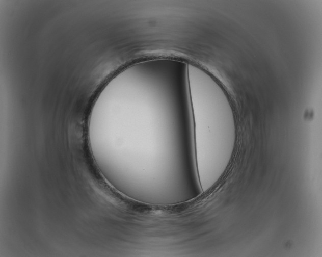 X0000093240111200709261538
