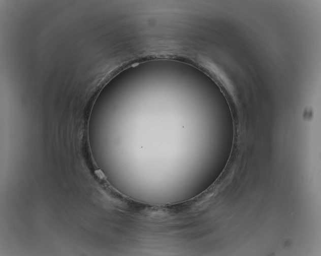 X0000093240113200709261538