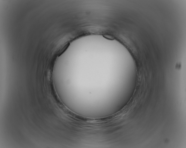 X0000093240117200709261538