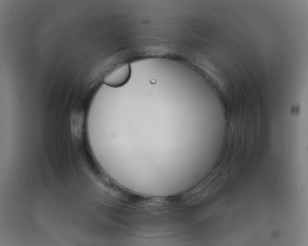 X0000093240118200709261538