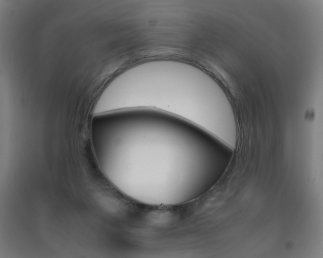 X0000093240119200709261538