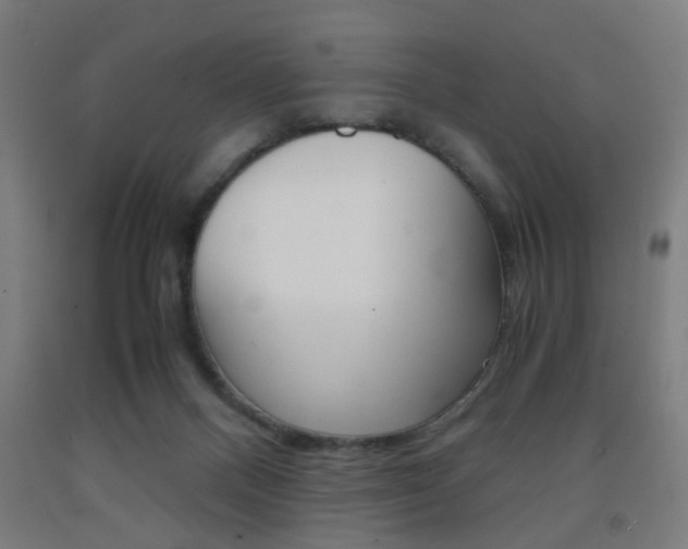X0000093240120200709261538