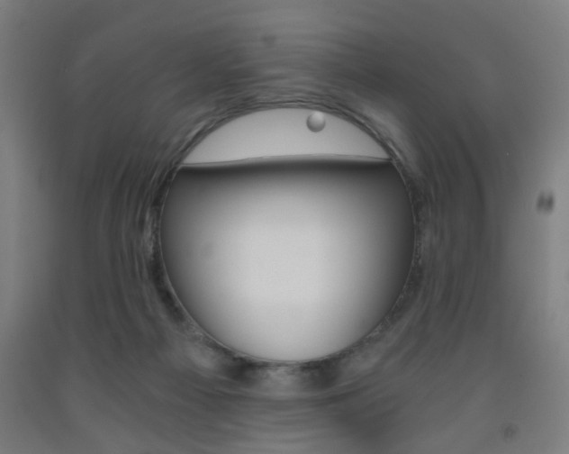 X0000093240121200709261538