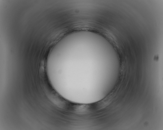 X0000093240122200709261538