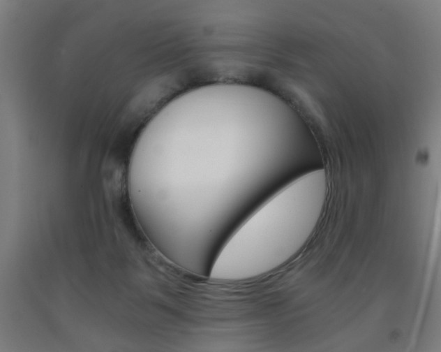 X0000093240123200709261538