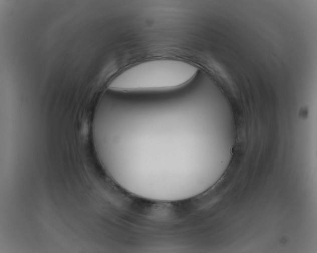 X0000093240124200709261538