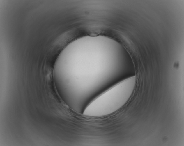 X0000093240125200709261538