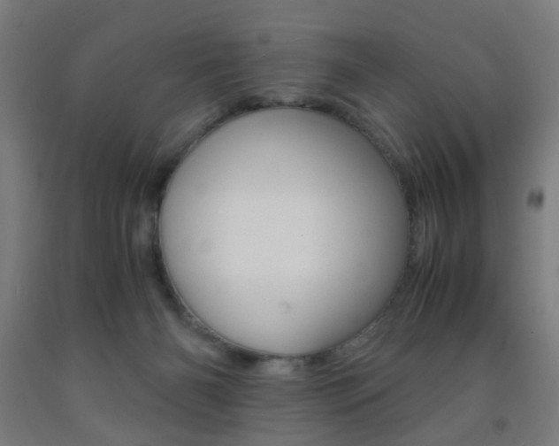 X0000093240126200709261538
