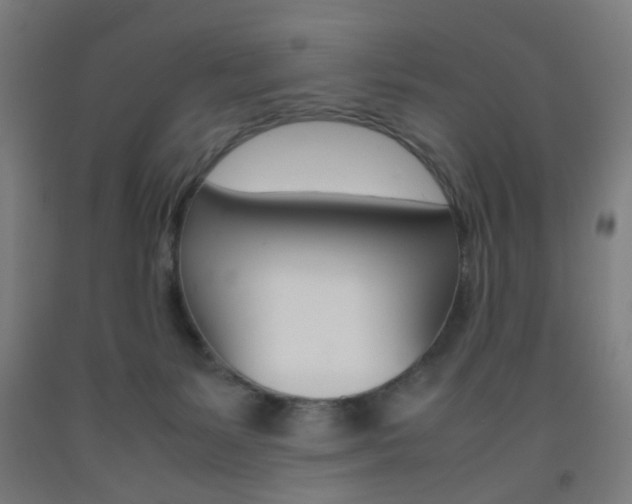 X0000093240127200709261538