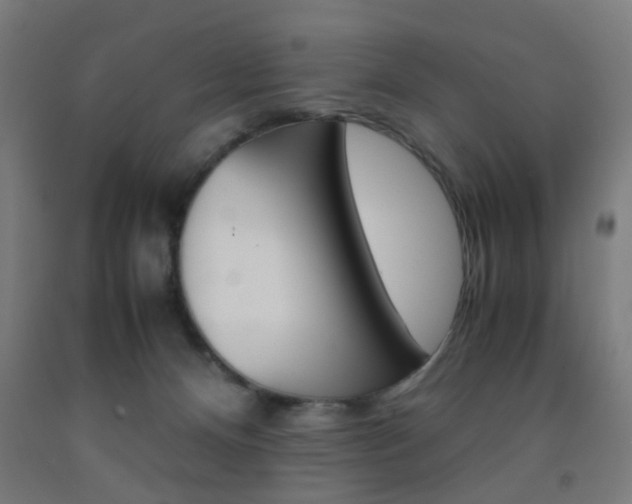 X0000093240128200709261538