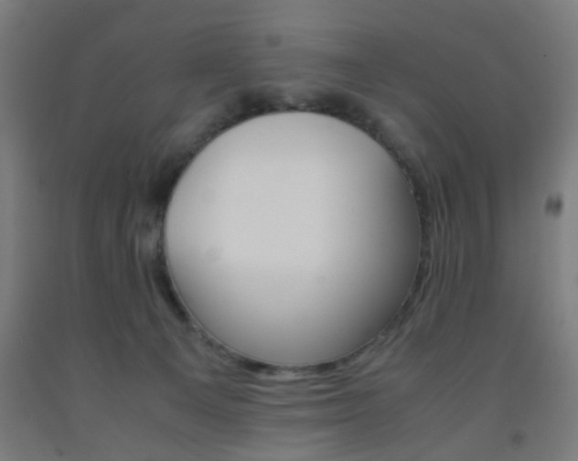 X0000093240129200709261538